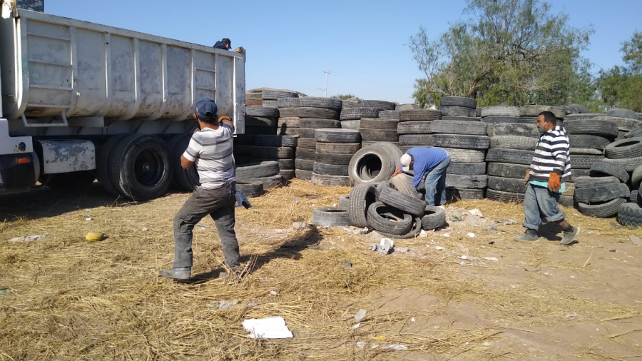 Patios Limpios Y Confinamiento Correcto De Basura Ayudan A Evitar